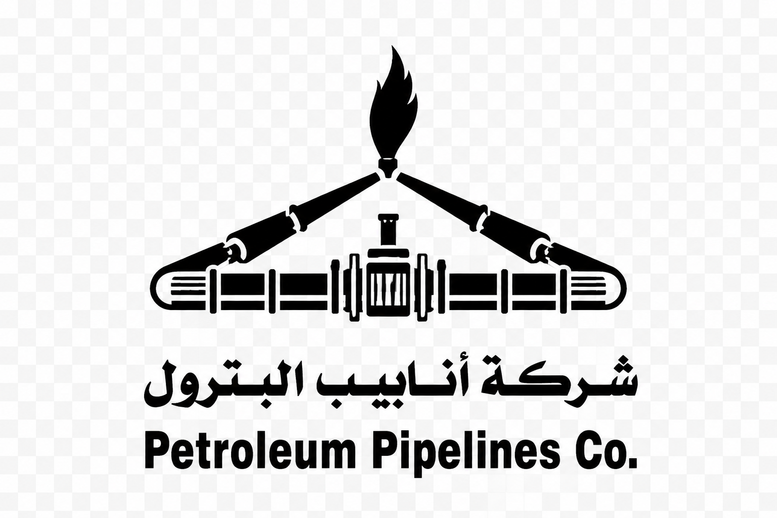Petroleum Pipelines